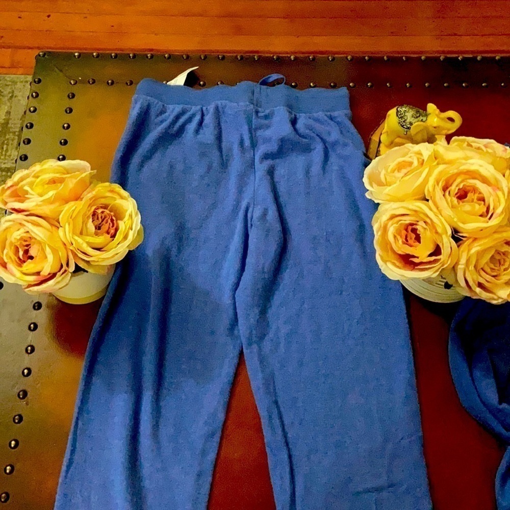 Wildfox Sunshine Parker Jogger Set - Picture 11 of 12